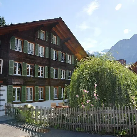 Synerzyt 2.5 Griwarent Ag Grindelwald